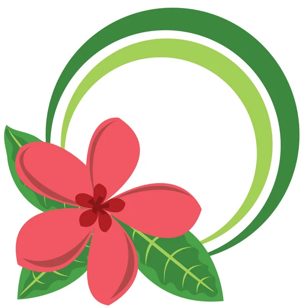 大きな熱帯花のフレーム — ストックベクタ