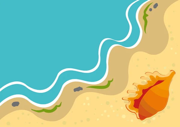 Fondo de verano con concha en una playa — Vector de stock