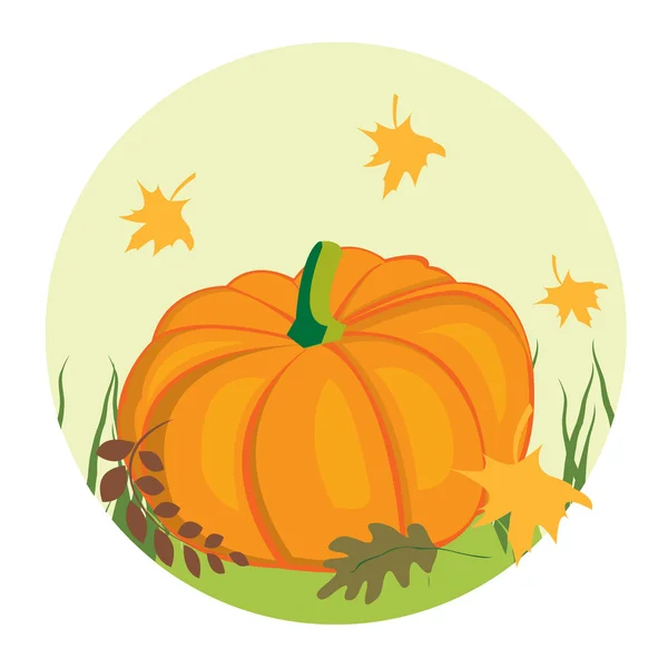 Autumnal background with pumpkin — Stock Vector