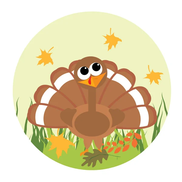 Cute little turkey looking at the leaf — Stock Vector