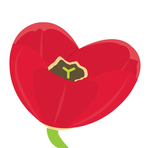 Tulipán en forma de corazón — Vector de stock