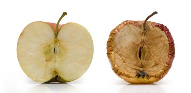 Two half of apple