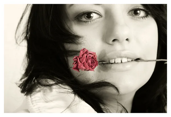 Schöne Hündin mit roter Rose — Stockfoto