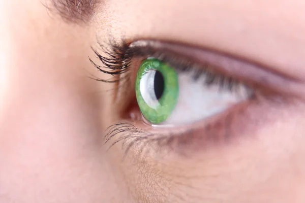 美しい緑の目のクローズ アップ — ストック写真