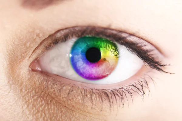 stock image Multucolor vision