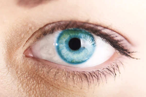 Schöne blaue Augen aus nächster Nähe — Stockfoto