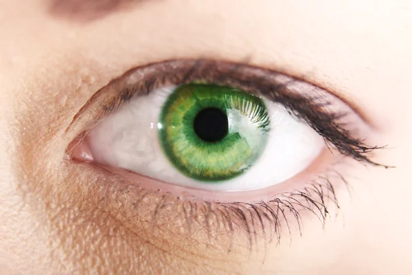 Schöne grüne Augen aus nächster Nähe — Stockfoto