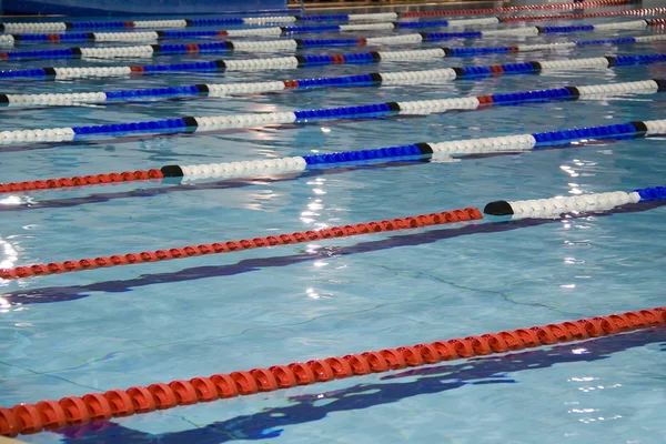 stock image Swimming Gala