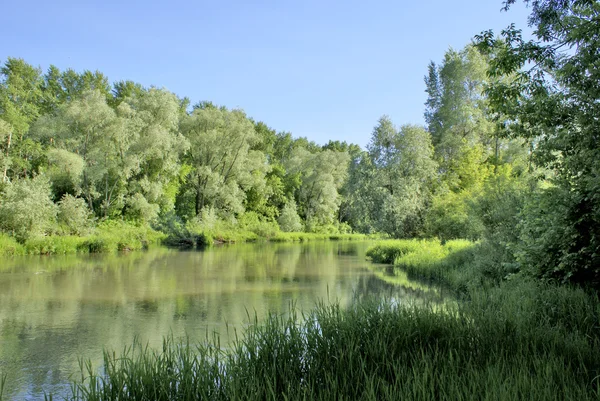 stock image Landscape with the river