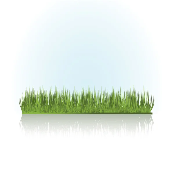 stock vector Summer grass