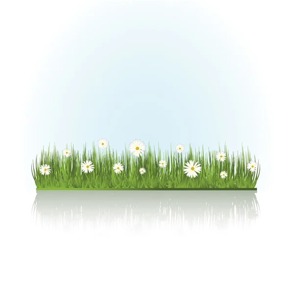 Літо трава — стоковий вектор