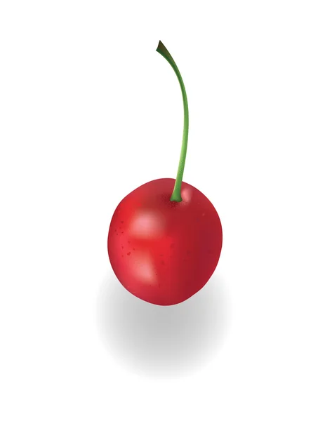 Cereza roja con tallo verde — Vector de stock