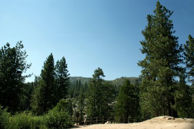 Sequoia National Park 009