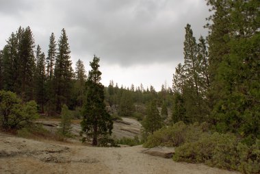 Sequoia National Park 010