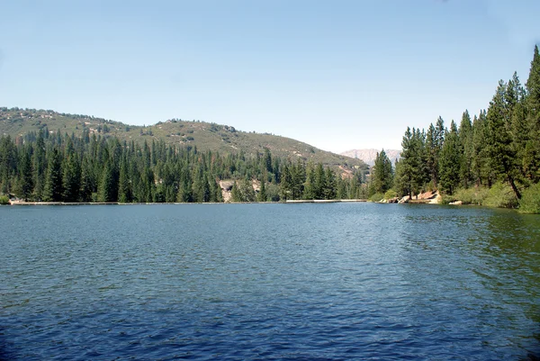 stock image Hume Lake 015