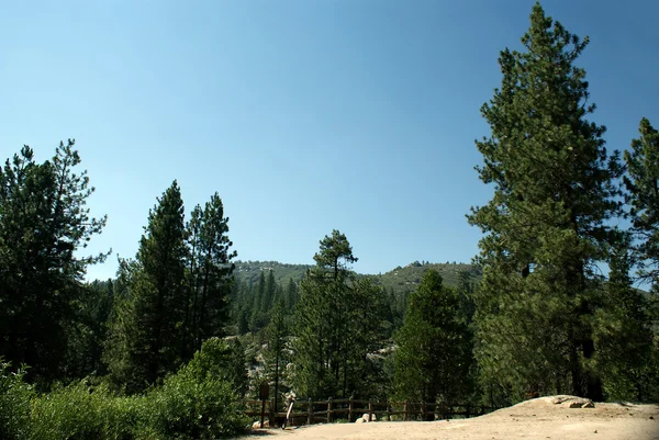 Národní park Sequoia 009 — Stock fotografie
