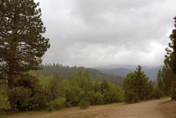 stock image Sequoia National Park 011