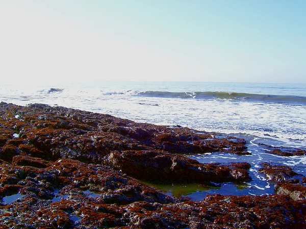 La vida cambia con la marea — Foto de Stock