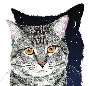 Vector gray cat clipart