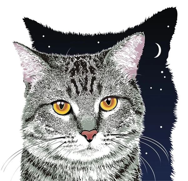 Vektorově šedá kočka — Stockový vektor