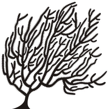 mercan