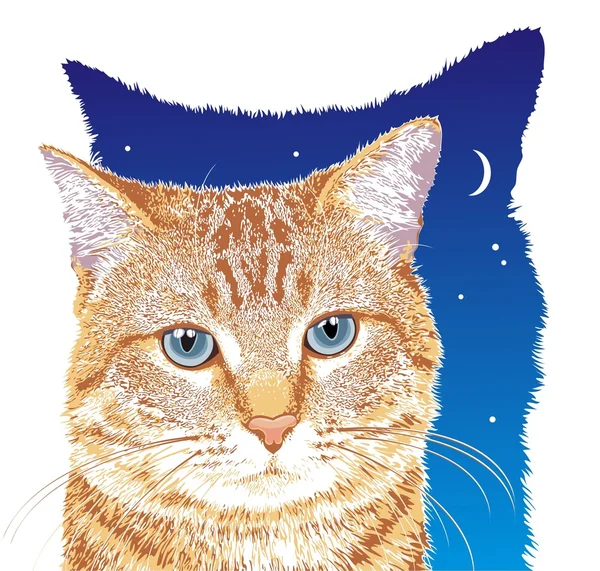 stock vector Cat