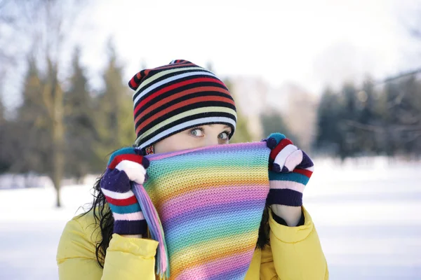 Vinter frysa — Stockfoto