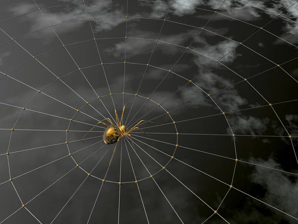 クモと網 — ストック写真