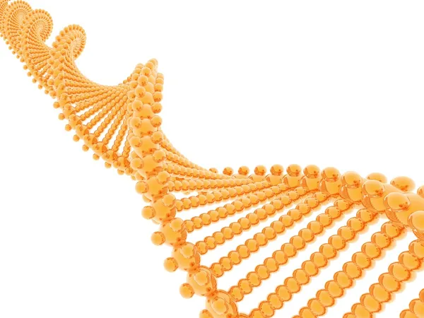 Modelo de ADN 3D Imagen de archivo