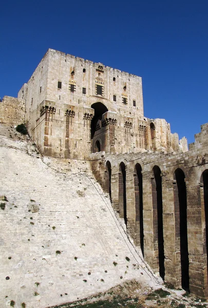 Die Burg von Aleppo Stockbild