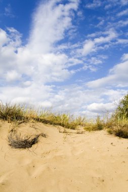 Sand dunes under a nice clouded sky clipart