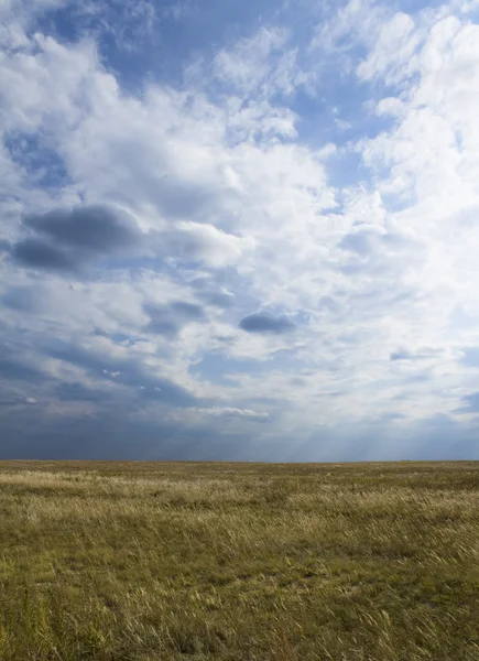 Stock image Filed, the blue sky, white clouds