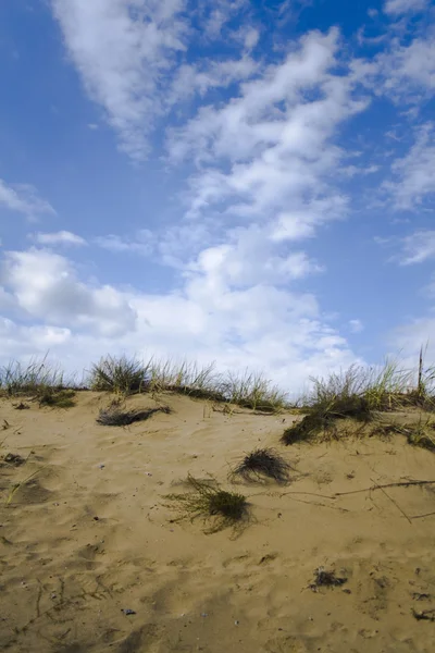 stock image Sand dunes under a nice clouded sky