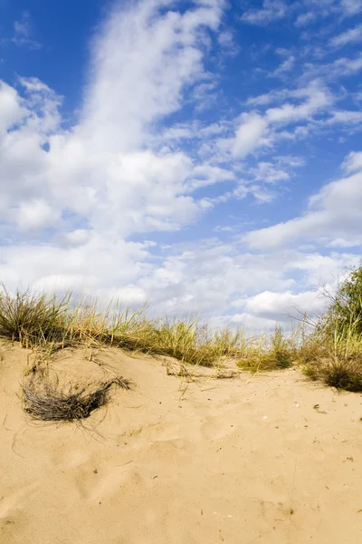 stock image Sand dunes under a nice clouded sky