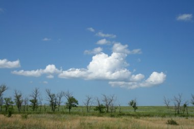 Bushes and cloudy sky clipart