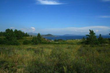 bulutlar ve çam ağaçları