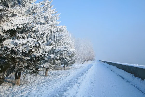 雪に覆われたパス — ストック写真