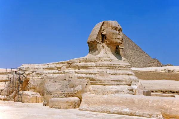 Le grand sphinx — Photo