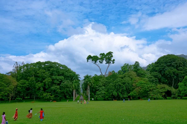 ペラデニヤ植物園もあります。スリランカ. — ストック写真
