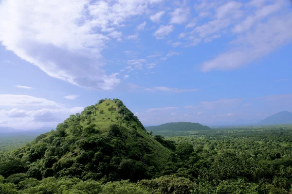 山。斯里兰卡. 图库图片