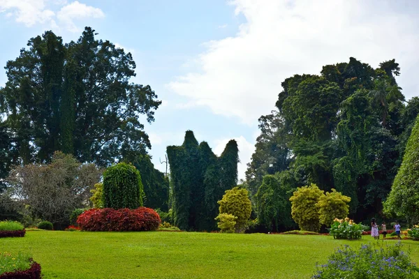 Botanické zahrady Peradeniya. Srí lanka. Royalty Free Stock Fotografie