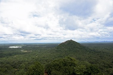 ahşap bir manzara. Sri lanka.