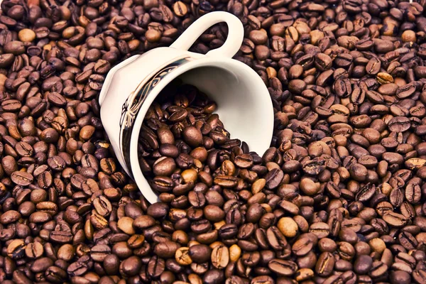 Café com xícara de café — Fotografia de Stock