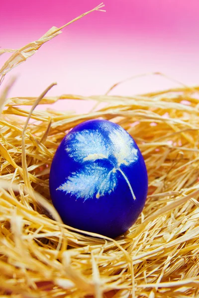 Easter egg op roze achtergrond — Stockfoto