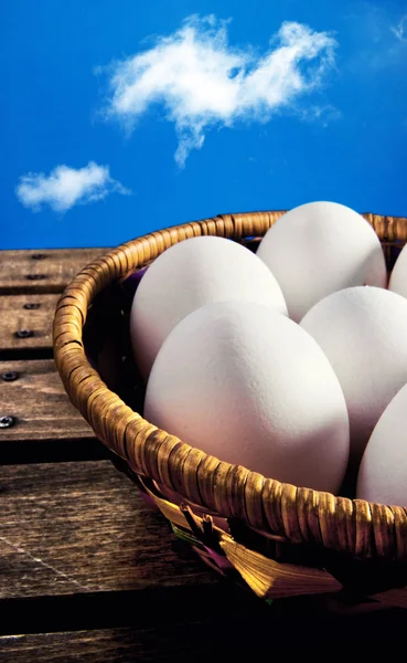 Valkoiset munat korissa — kuvapankkivalokuva