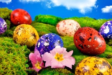 Painted Easter eggs on a green meadow