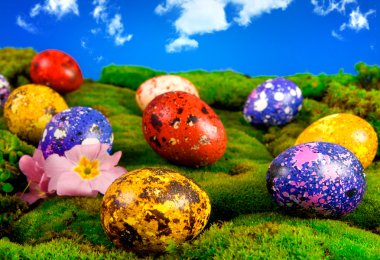 Painted Easter eggs on a green meadow