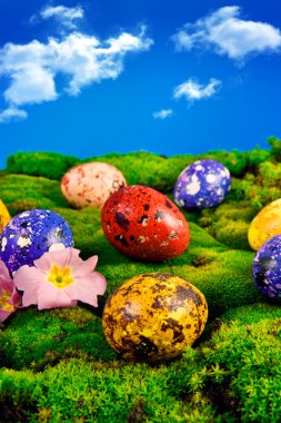 Painted Easter eggs on a green meadow