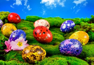 Painted Easter eggs on a green meadow