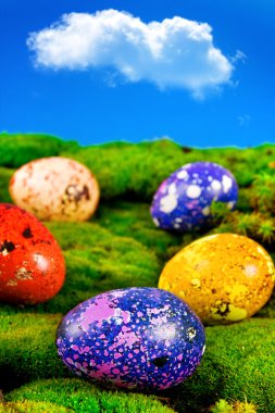 Painted Easter eggs on a green meadow